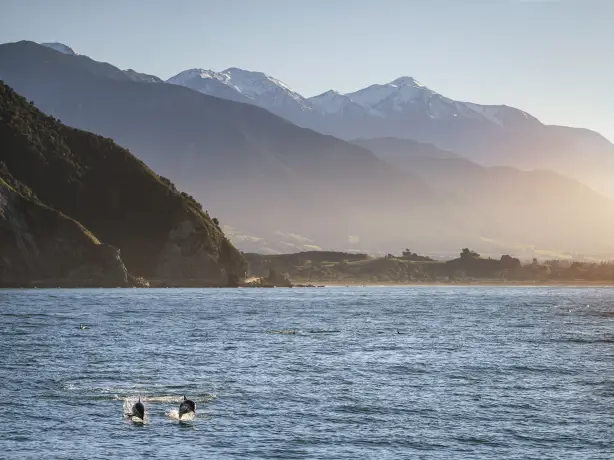7843 Kaikoura Canterbury Miles Holden 1