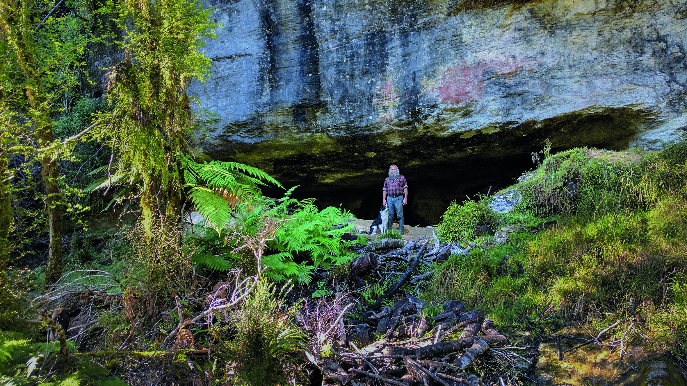 Nz westport local nature johnny animals partner see and do easy going