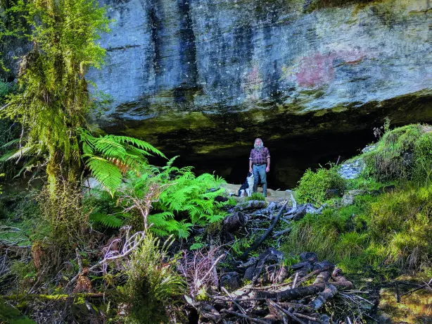 Nz westport local nature johnny animals partner see and do easy going