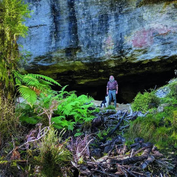 Nz westport local nature johnny animals partner see and do easy going