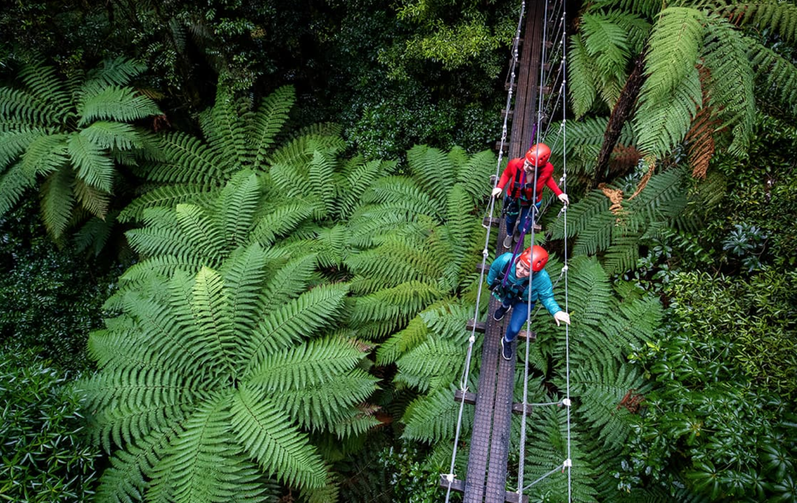 4993 Rotorua Canopy Tours 1536574618 Screen Shot 2018 09 10 at 12 16 20