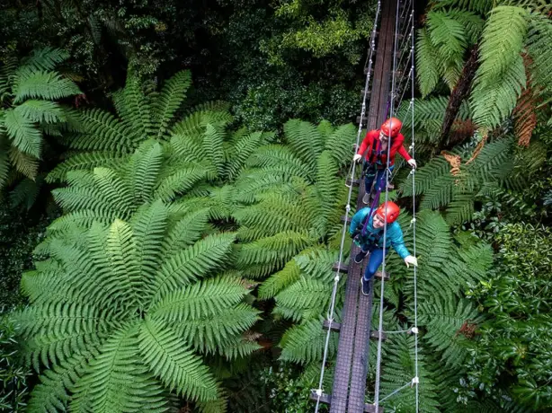 4993 Rotorua Canopy Tours 1536574618 Screen Shot 2018 09 10 at 12 16 20