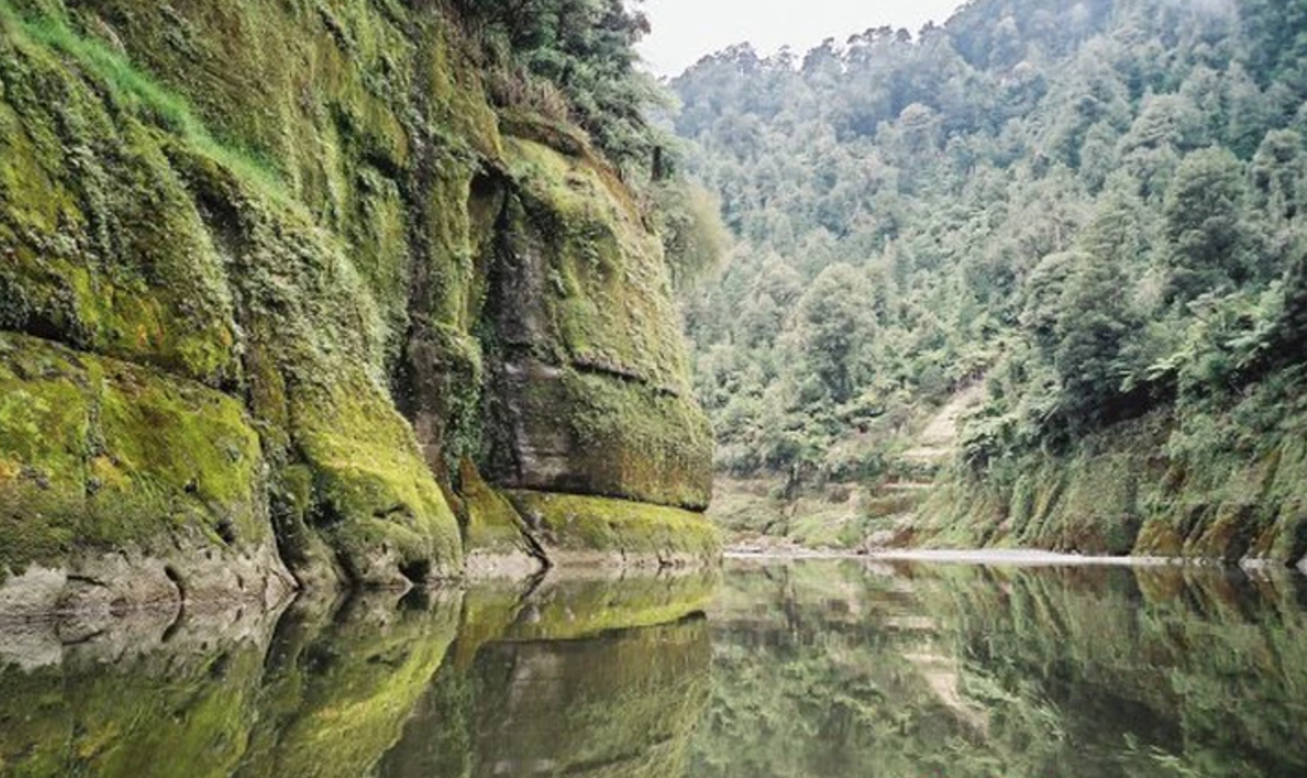 Neuseeland Whanganui Nationalpark