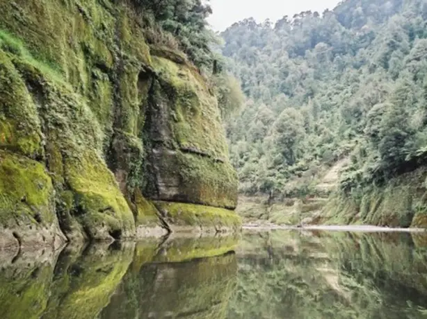 Neuseeland Whanganui Nationalpark
