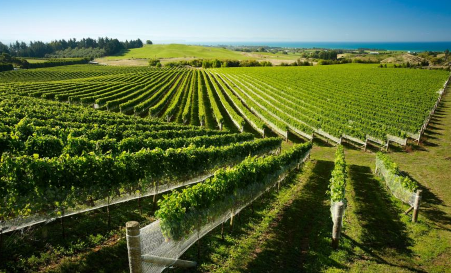 Header 4581 On Yer Bike Winery Tours1