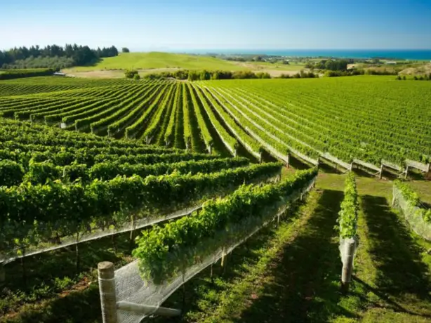 Header 4581 On Yer Bike Winery Tours1