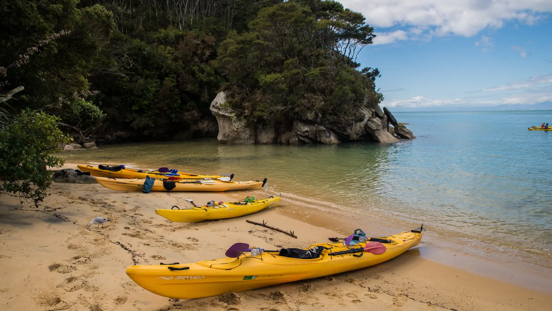 1192 Abel Tasman Kayaks 1