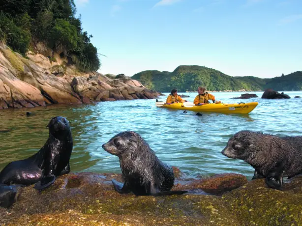 1192 Abel Tasman Kayaks 1576183465 ATK Tonga Is Low Res