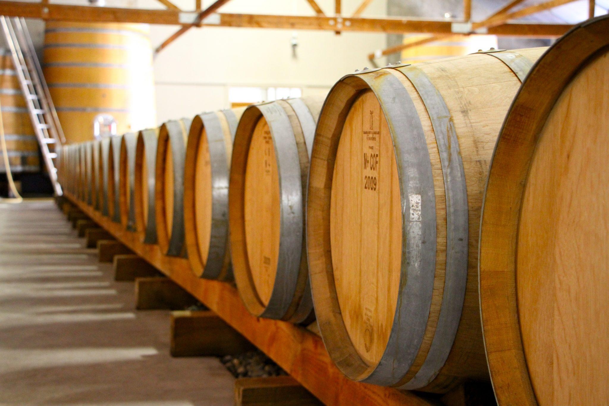 3225 Bubbly Grape Wine Tour 1575043119 bubbly grape wine tours