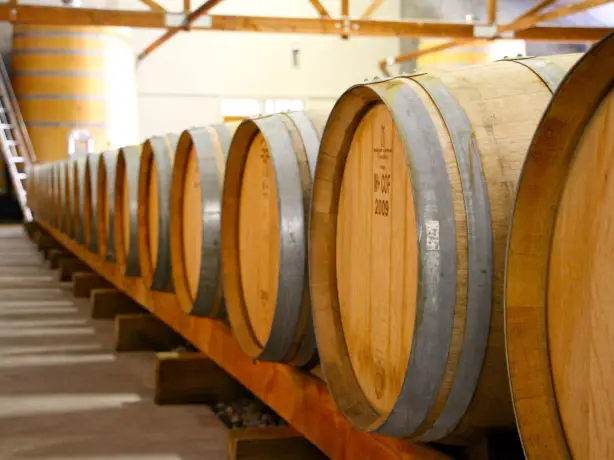 3225 Bubbly Grape Wine Tour 1575043119 bubbly grape wine tours