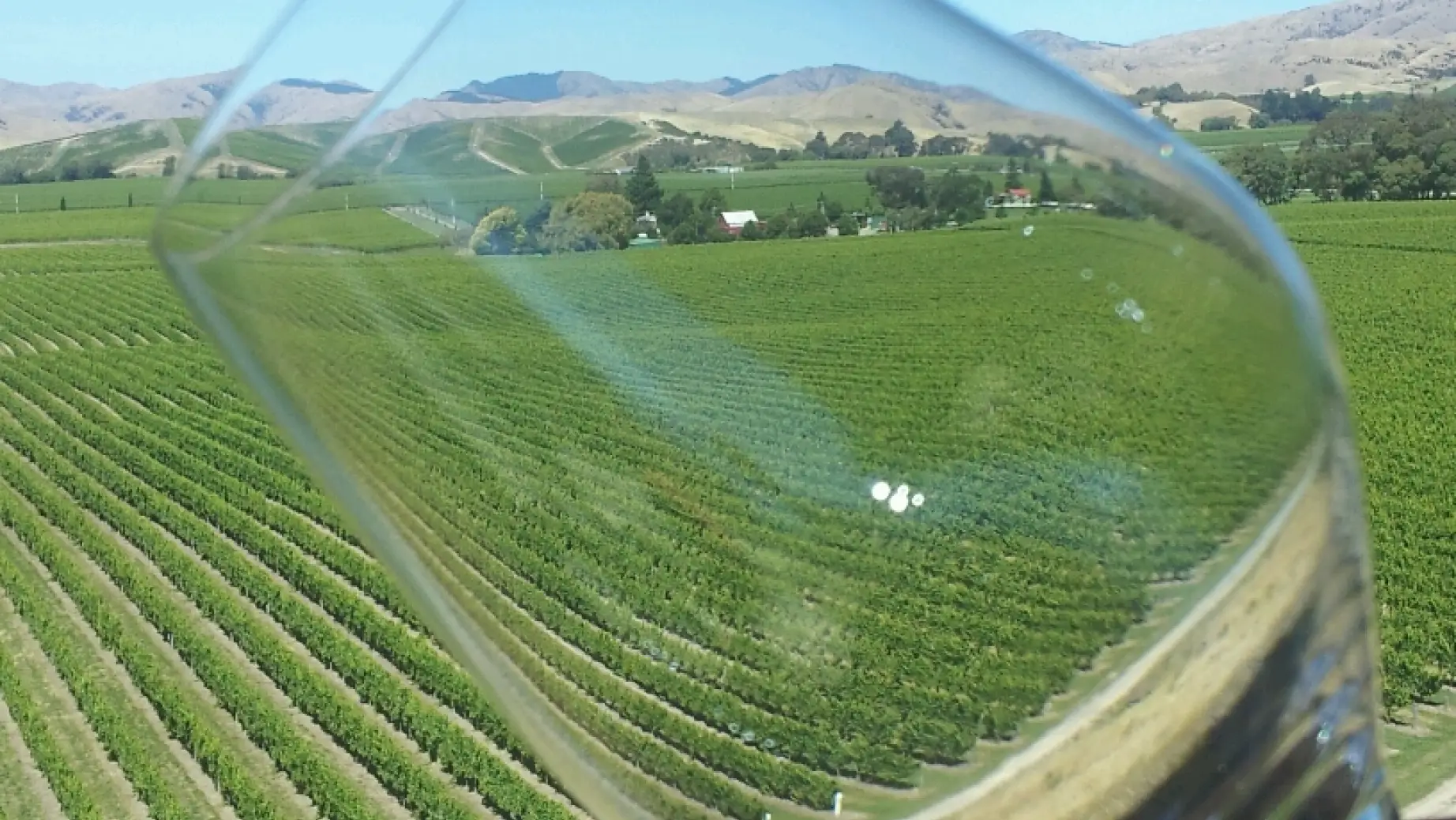 3225 Bubbly Grape wine tour