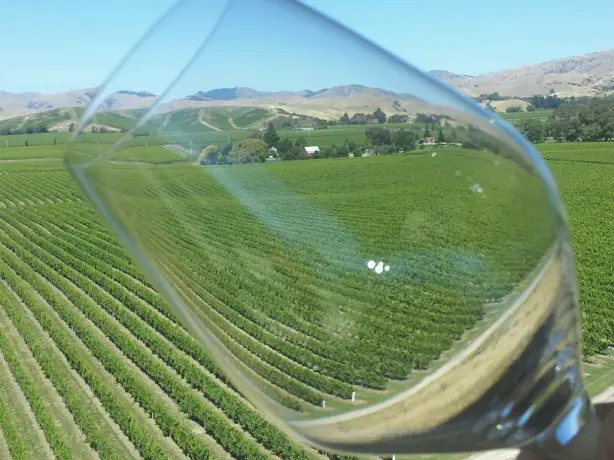 3225 Bubbly Grape wine tour