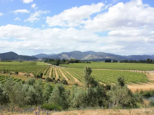 Neuseeland Marlborough Weintour Aktivität
