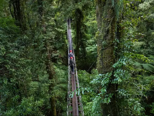nz-north Rotorua Canopy Tours