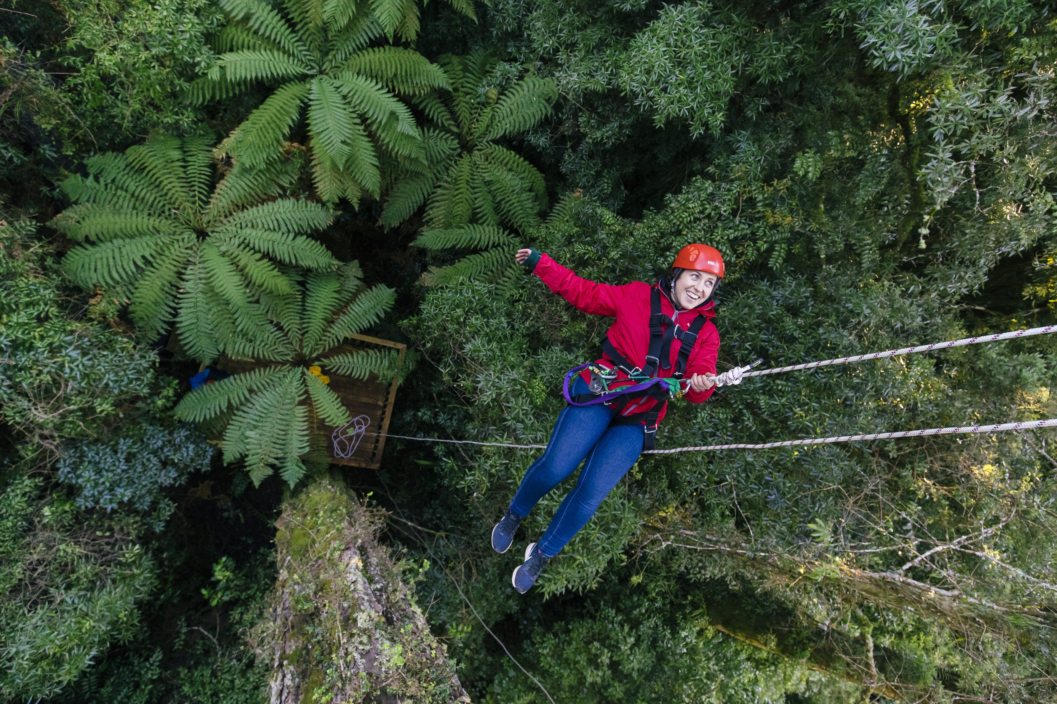 Rotorua zipline