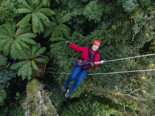 Rotorua zipline