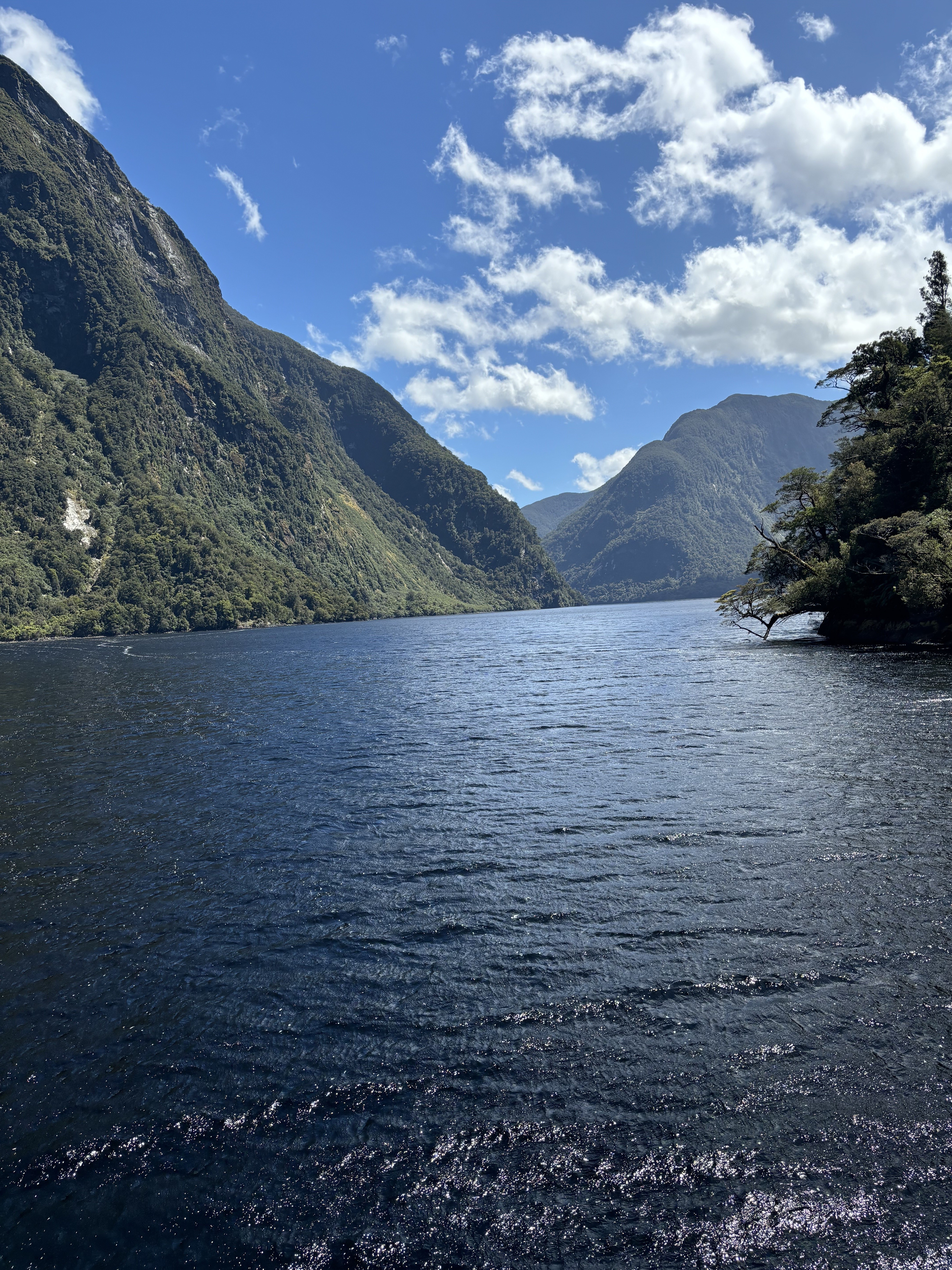NZ South island clients Sauer