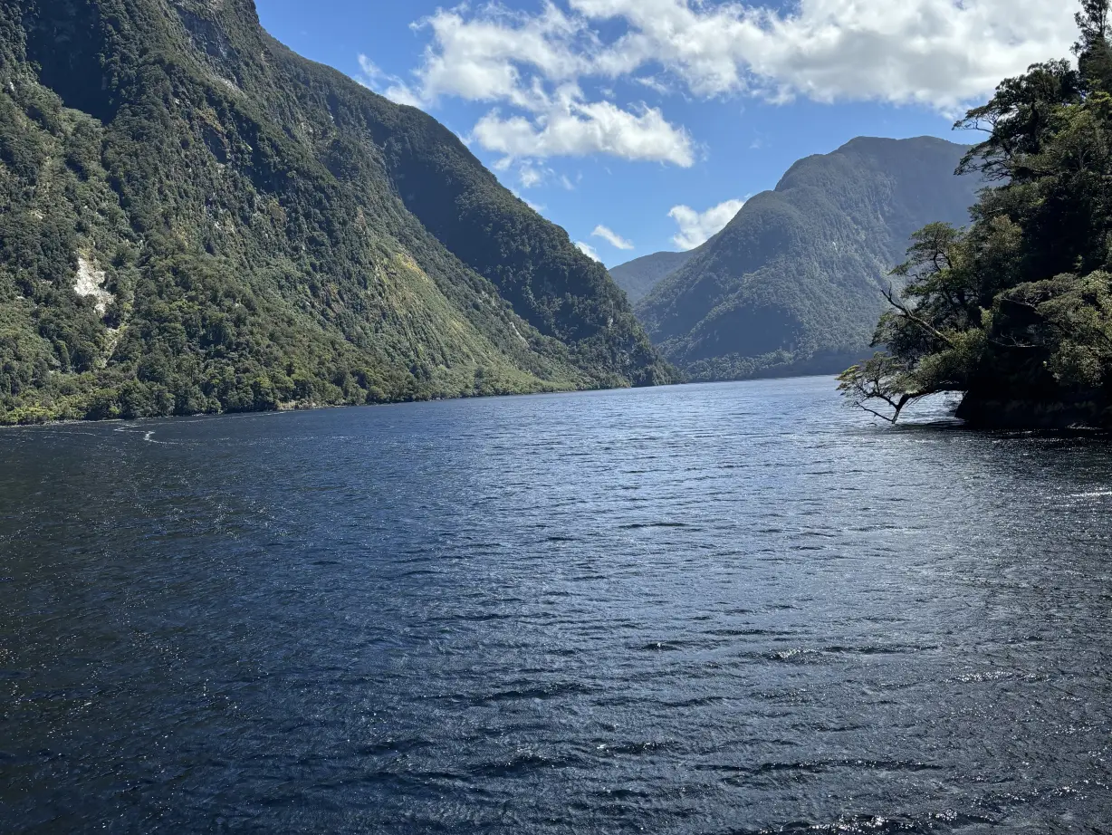NZ South island clients Sauer