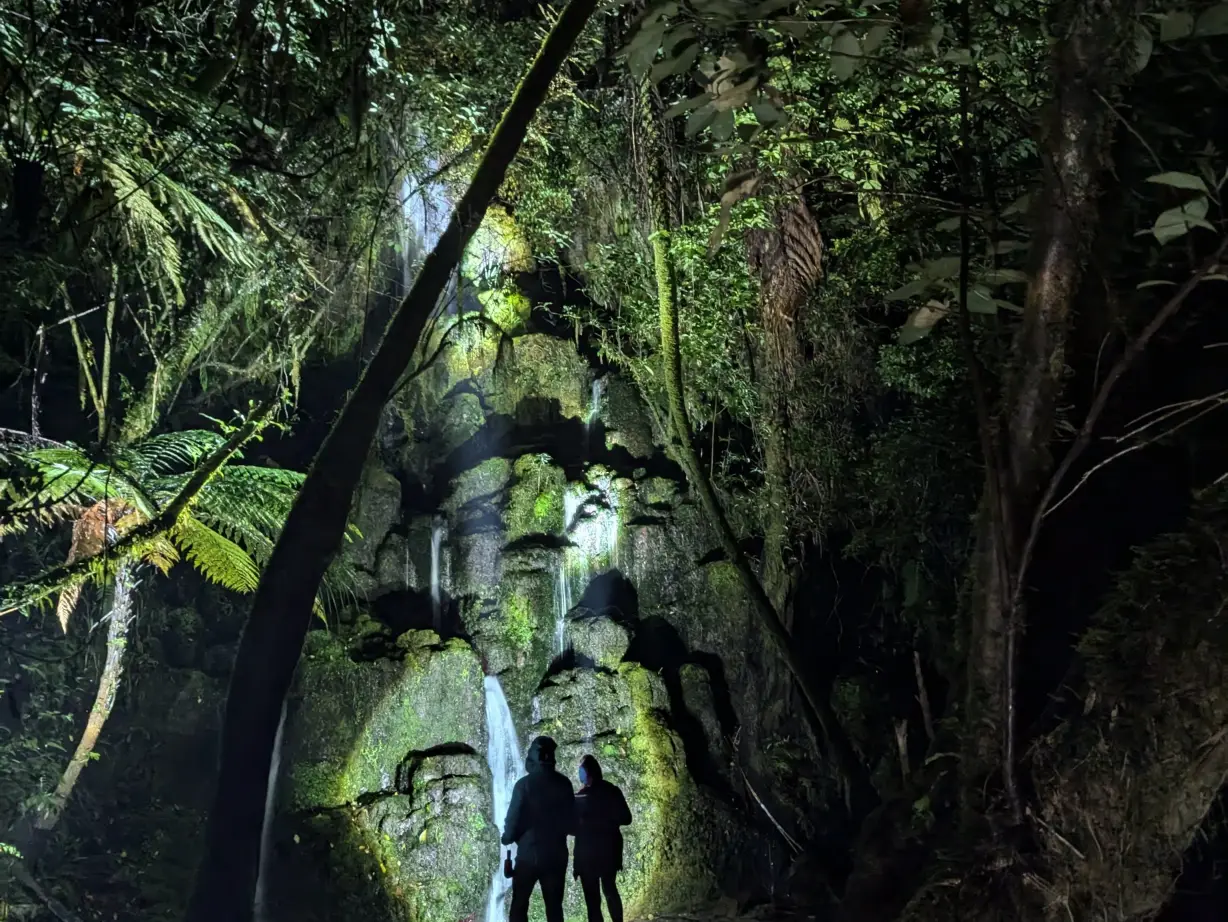 Zwei menschen laufen durch Regenwald in Neuseeland mit Wasserfall im Hintergrund