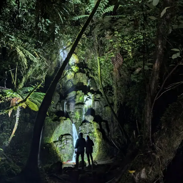 Zwei menschen laufen durch Regenwald in Neuseeland mit Wasserfall im Hintergrund