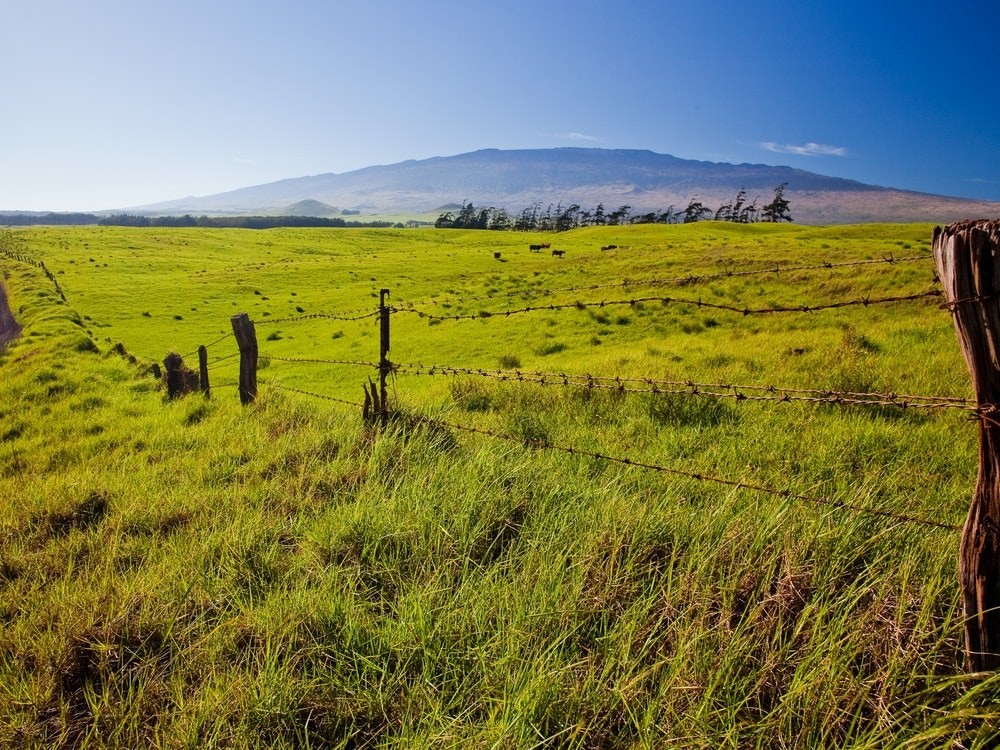 USA Hawaii Waimea