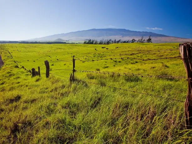 USA Hawaii Waimea