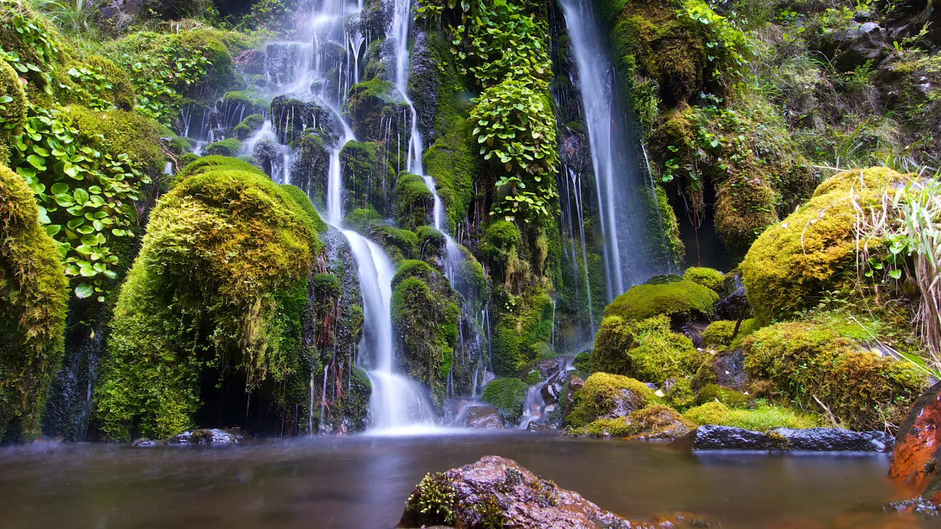 Wasserfall umgeben von moosbewachsenen Felsen und Grün in Neuseeland