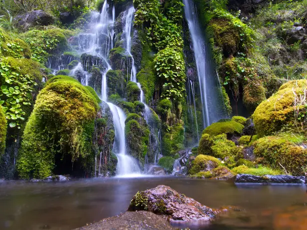 Wasserfall umgeben von moosbewachsenen Felsen und Grün in Neuseeland