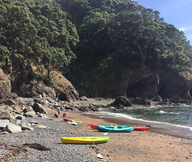 Client review kising family nz 4