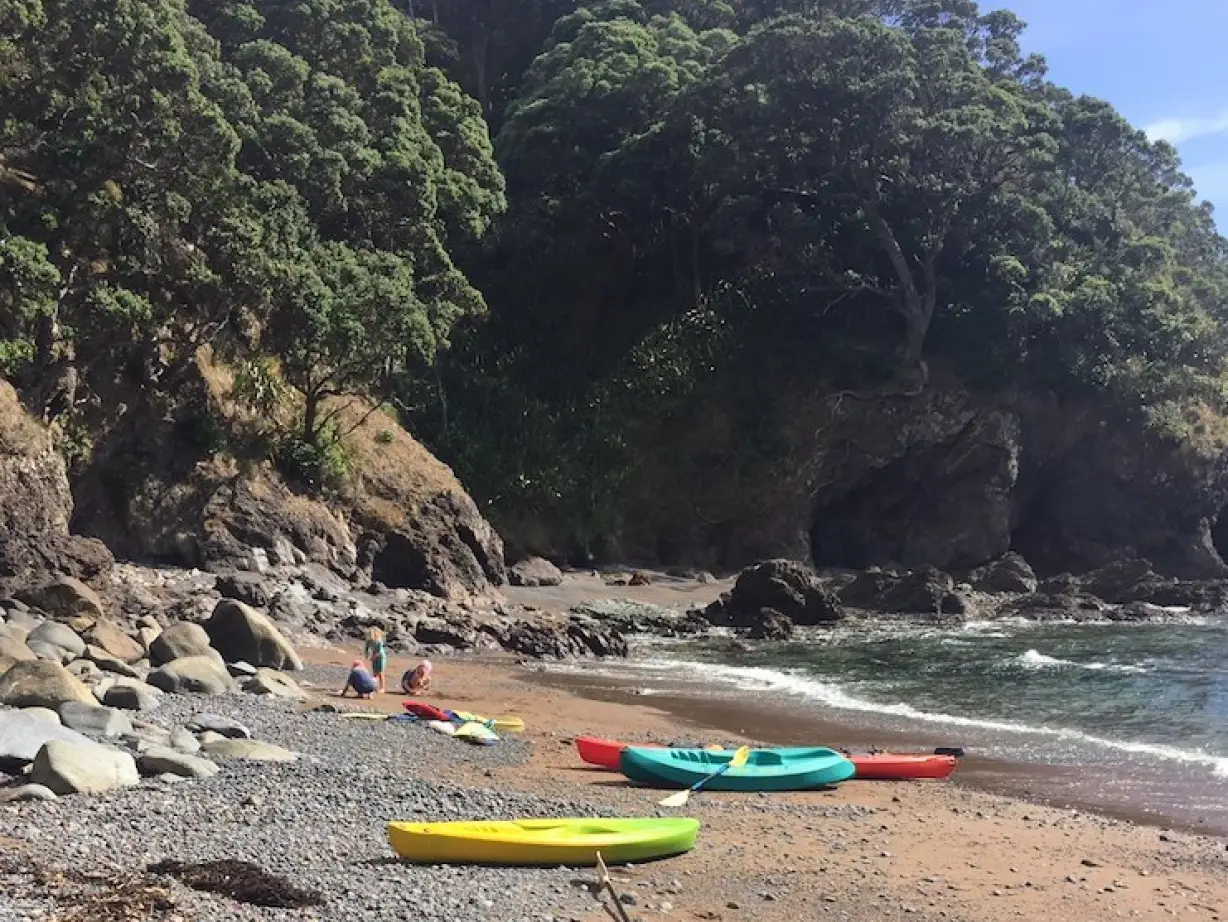 Client review kising family nz 4
