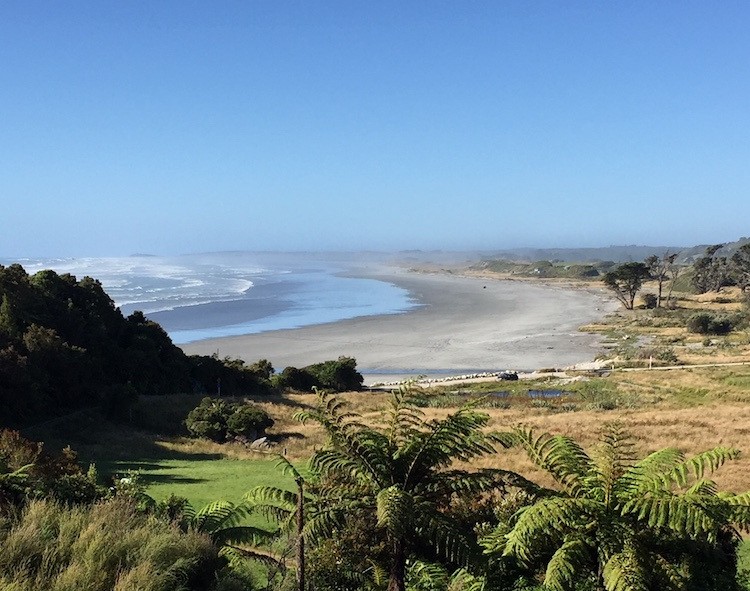 Client review kising family nz 5