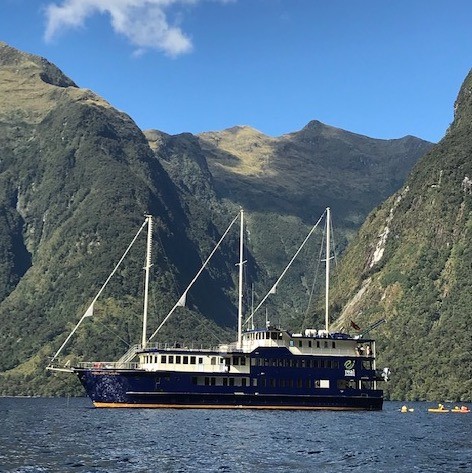 Client review kising family nz 3