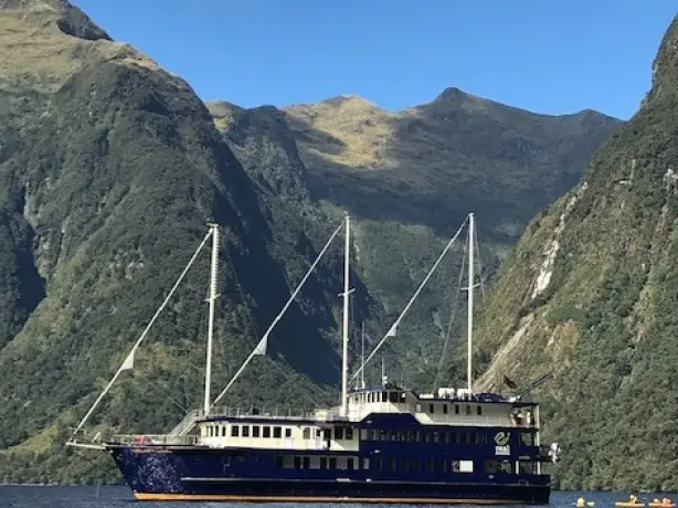 Client review kising family nz 3