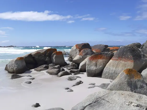 AUS review corerica Bay of Fires 2 Swimcart Beach