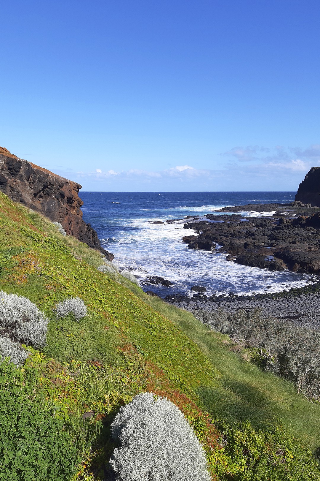 AUS review corerica Cape Schanck 3
