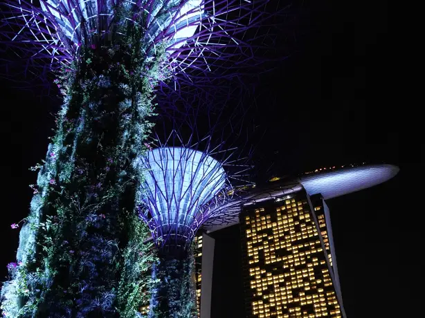 AUS review corerica Supertree Grove at night 1 in Singapore