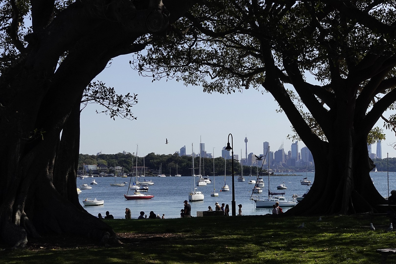 AUS review corerica Watsons Bay met uitzicht op skyline Sydney