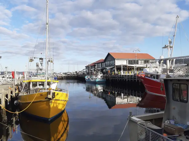 AUS review corerica haven in Hobart