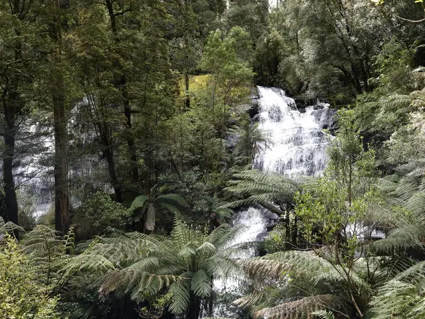 AUS review corerica wandeling naar Triplet Falls 2 in Otway National Park