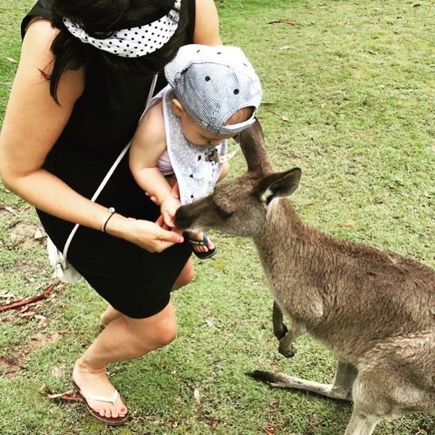 Aus louie kangaroo
