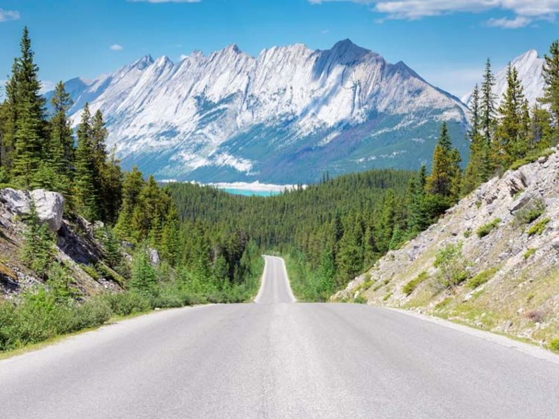 Straße in Kanada führt durch Nadelwald mit großem Berg im Hintergrund
