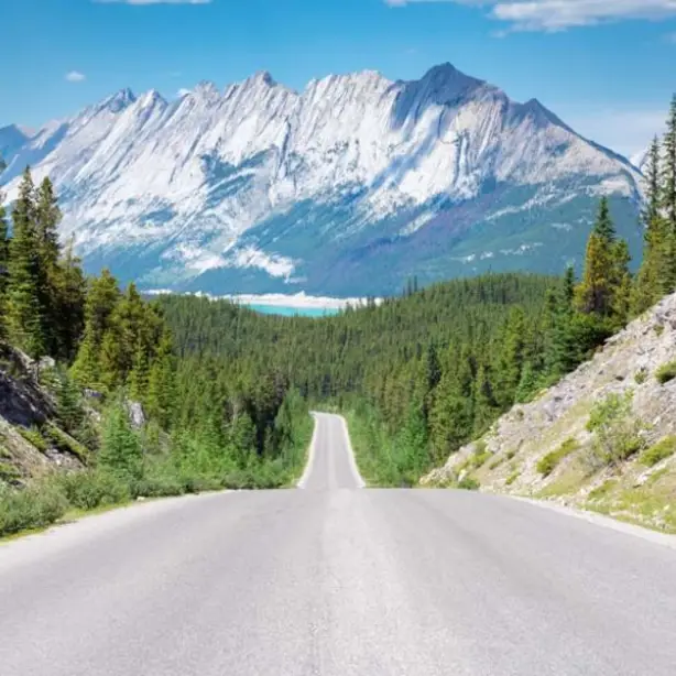 Straße in Kanada führt durch Nadelwald mit großem Berg im Hintergrund