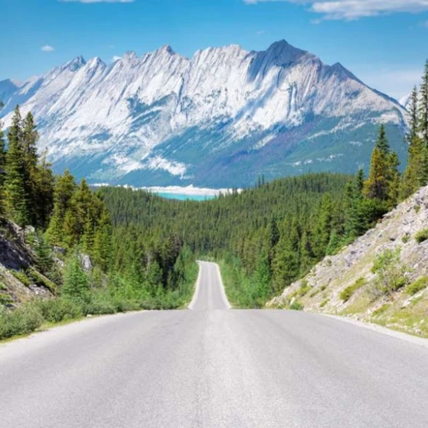 Straße in Kanada führt durch Nadelwald mit großem Berg im Hintergrund