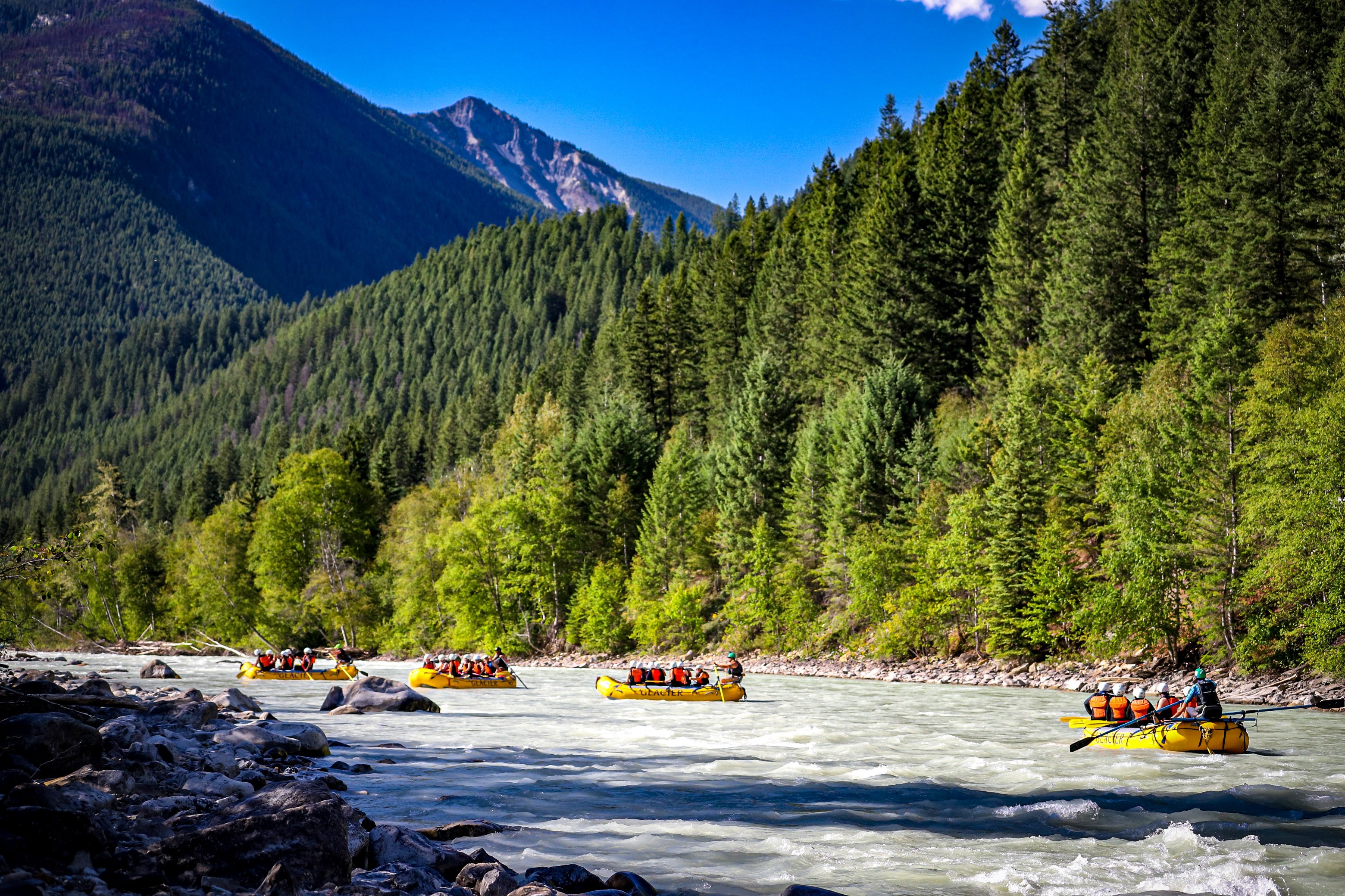 Four yellow rafts on kicking Horse River with trees and mountain peaks behind