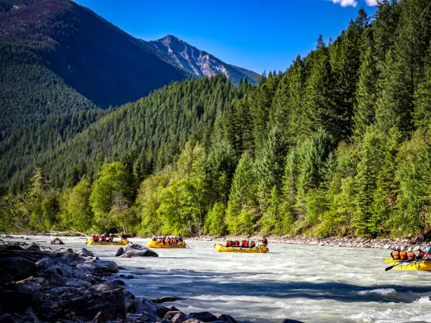 Four yellow rafts on kicking Horse River with trees and mountain peaks behind