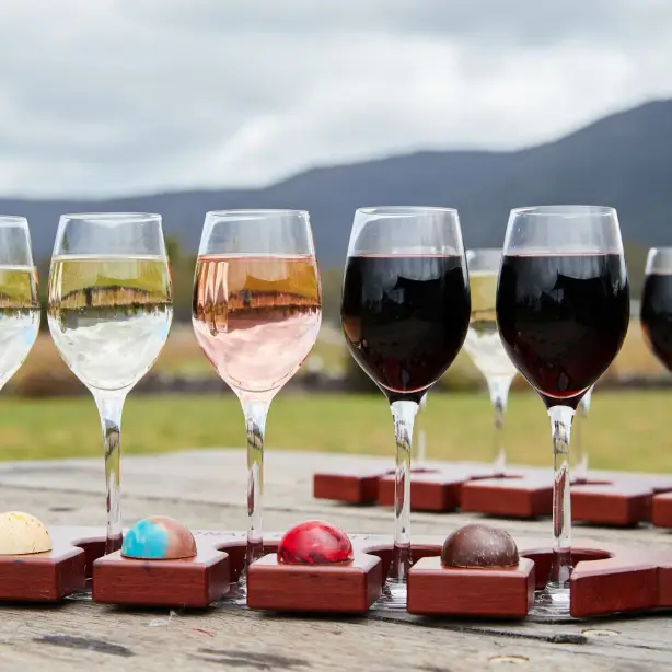 Wine and chocolate tasting