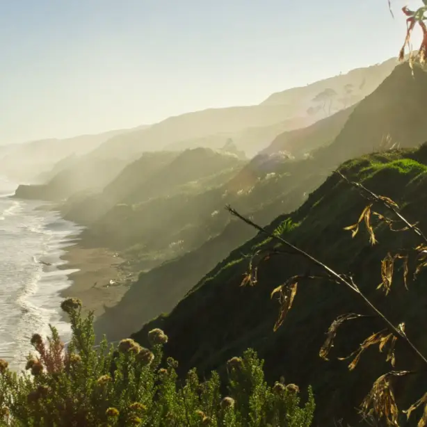 Hawke's Bay, Nieuw-Zeeland