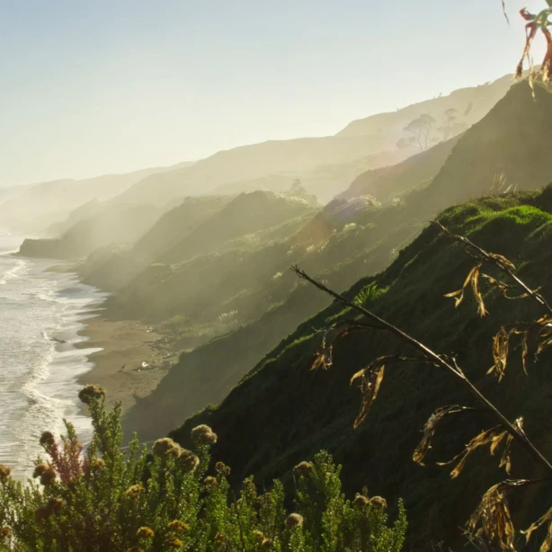 Hawke's Bay, Nieuw-Zeeland