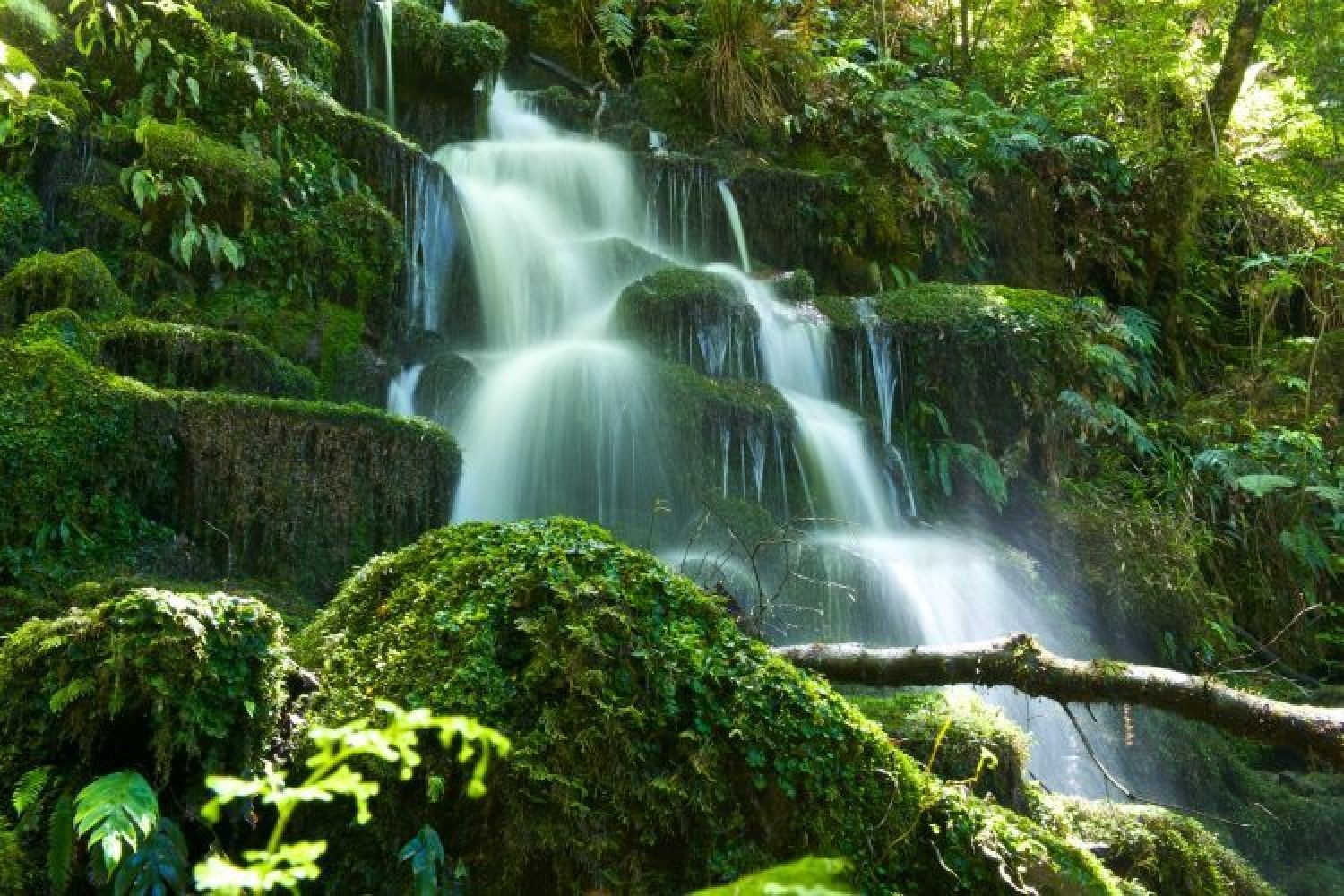 Waterval in de Bay of Plenty, Nieuw-Zeeland