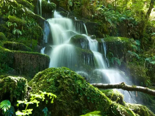 Wasserfall in der Bay of Plenty, Neuseeland